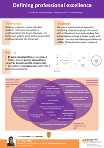 Defining professional excellence