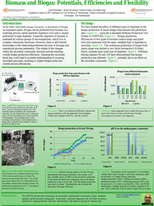 Biomass and biogas