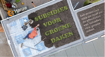 Onderszoeksverslag Subsidies voor Groene Daken