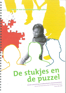 De stukjes en de puzzel