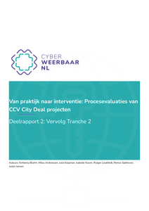 Van praktijk naar interventie: Procesevaluaties van  CCV City Deal projecten