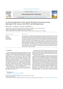 An advanced approach to tomato apex head thickness measurement using lightweight YOLO variants, faster RCNN, and RGB-depth sensor