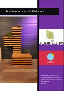 Adviesrapport voor de inrichting van de Stadsspons voor stedelijke omgeving