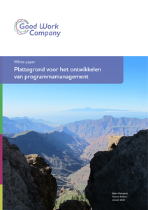 Plattegrond voor het ontwikkelen van programmamanagement