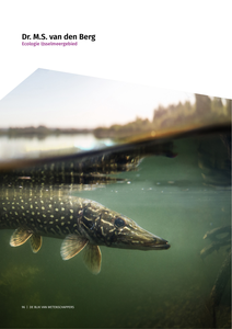 Leven in de gouden rand van Flevoland
