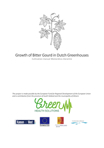Growth of bitter gourd in Dutch greenhouses
